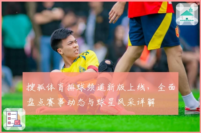 搜狐体育排球频道新版上线,全面盘点赛事动态与球星风采详解