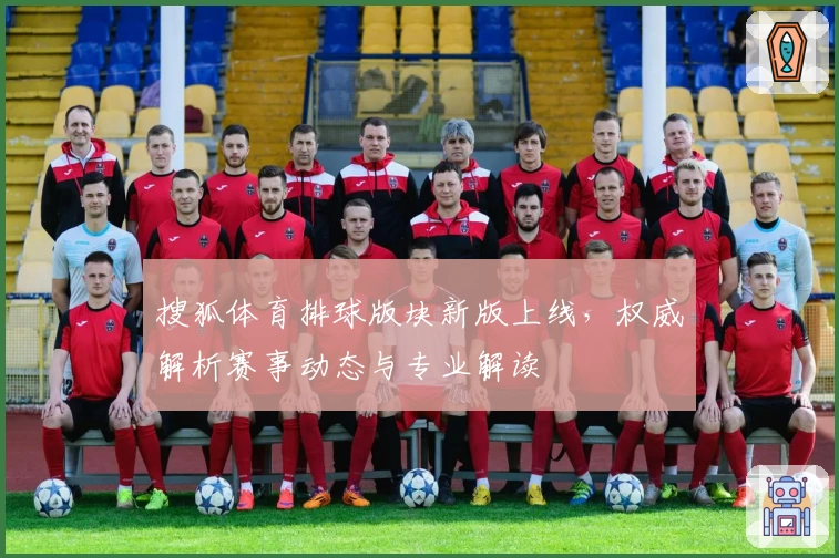 搜狐体育排球版块新版上线,权威解析赛事动态与专业解读
