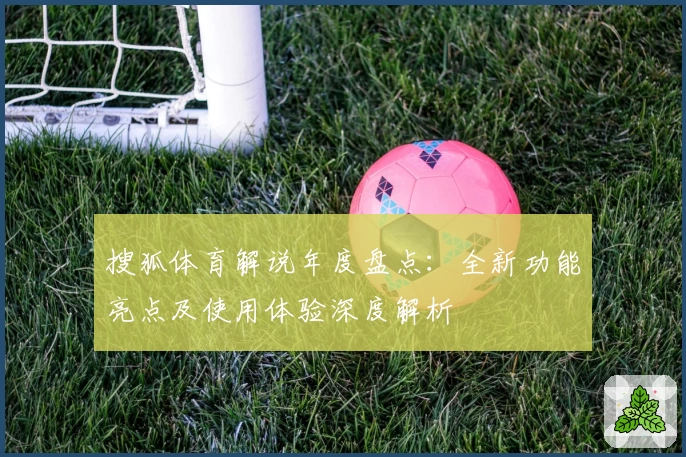 搜狐体育解说年度盘点：全新功能亮点及使用体验深度解析