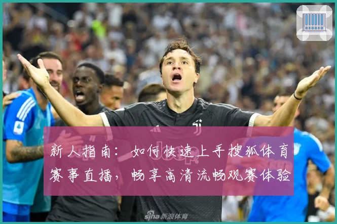 新人指南:如何快速上手搜狐体育赛事直播,畅享高清流畅观赛体验