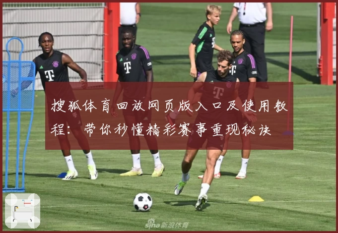 搜狐体育回放网页版入口及使用教程：带你秒懂精彩赛事重现秘诀