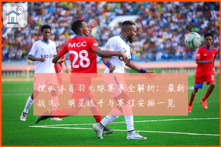 搜狐体育羽毛球赛事全解析：最新战况、明星选手与赛程安排一览