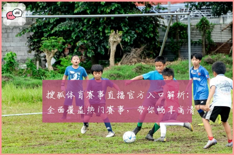 搜狐体育赛事直播官方入口解析:全面覆盖热门赛事,带你畅享高清观看体验