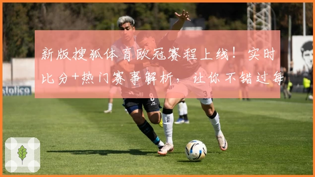新版搜狐体育欧冠赛程上线!实时比分+热门赛事解析,让你不错过每场精彩比赛