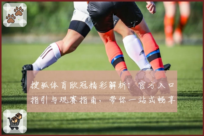 搜狐体育欧冠精彩解析：官方入口指引与观赛指南，带你一站式畅享赛事魅力