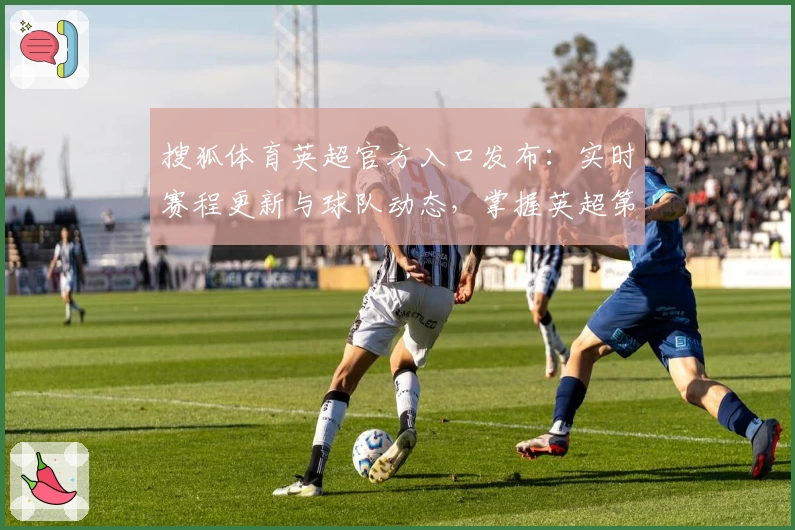 搜狐体育英超官方入口发布：实时赛程更新与球队动态，掌握英超第一手资讯